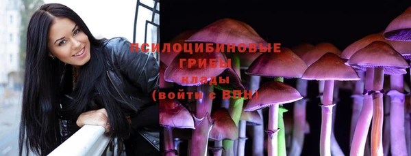ГАЛЛЮЦИНОГЕННЫЕ ГРИБЫ Алексин