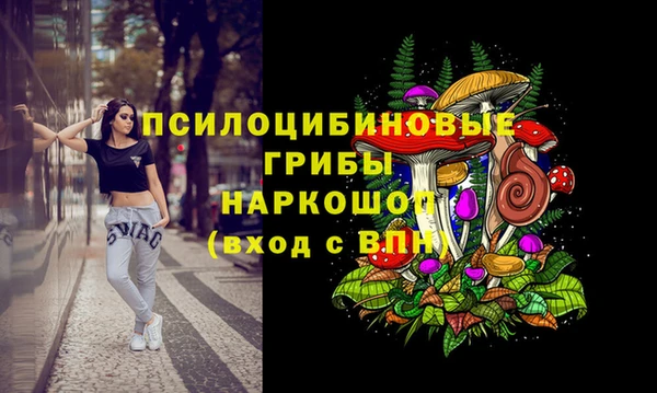 МДПВ Абаза