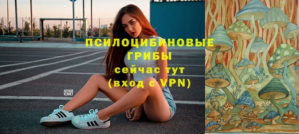 хмурый Алексеевка