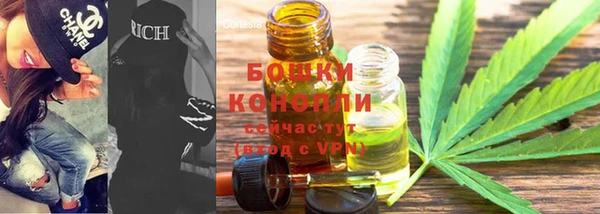 бошки Пересвет