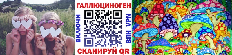 Галлюциногенные грибы Psilocybine cubensis Севастополь