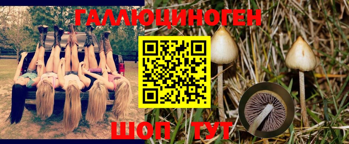 Галлюциногенные грибы MAGIC MUSHROOMS Севастополь