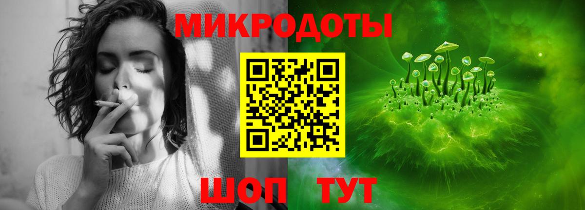 Севастополь  Галлюциногенные грибы MAGIC MUSHROOMS  что такое наркотик  Вход с VPN  Псилоцибиновые грибы Psilocybine cubensis 